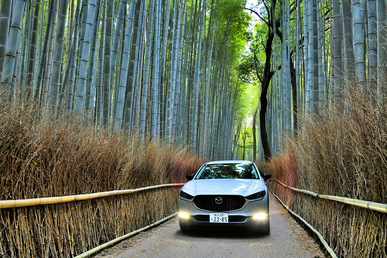 竹林の小径を走るマツダCX-30 〜 画像32