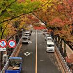 【画像】達人はこうしている！　なぜか街なかの運転がヘタな人が実践すべき５つのポイント 〜 画像4