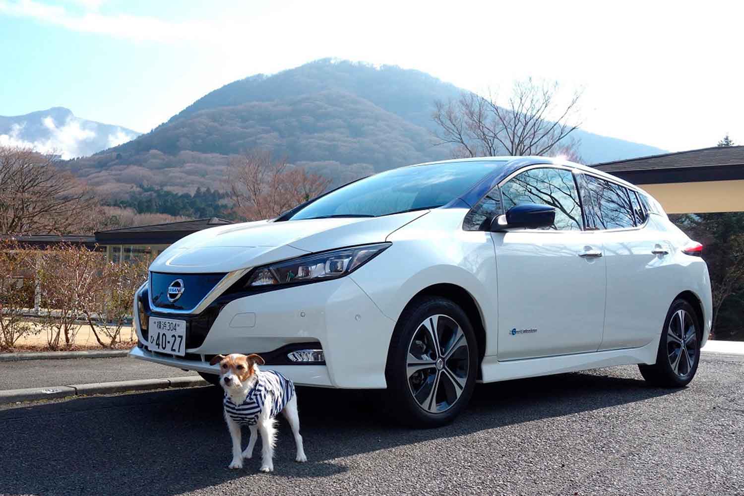 日産リーフと愛犬