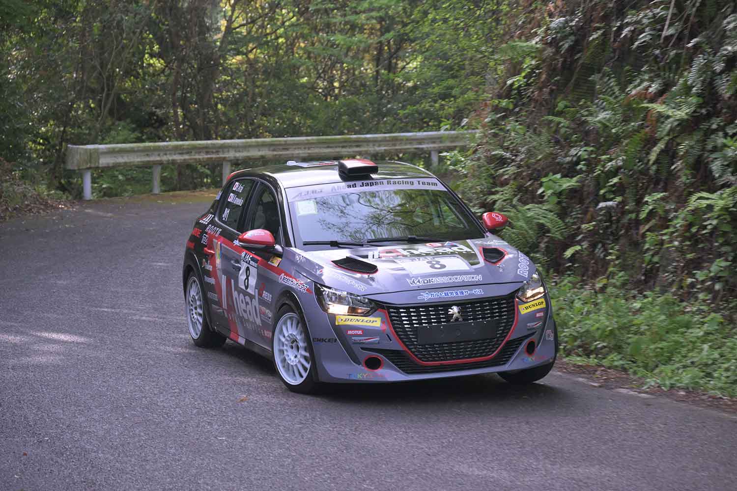 全日本ラリー選手権に参戦している新井大輝選手のプジョー208 Rally2の走行写真