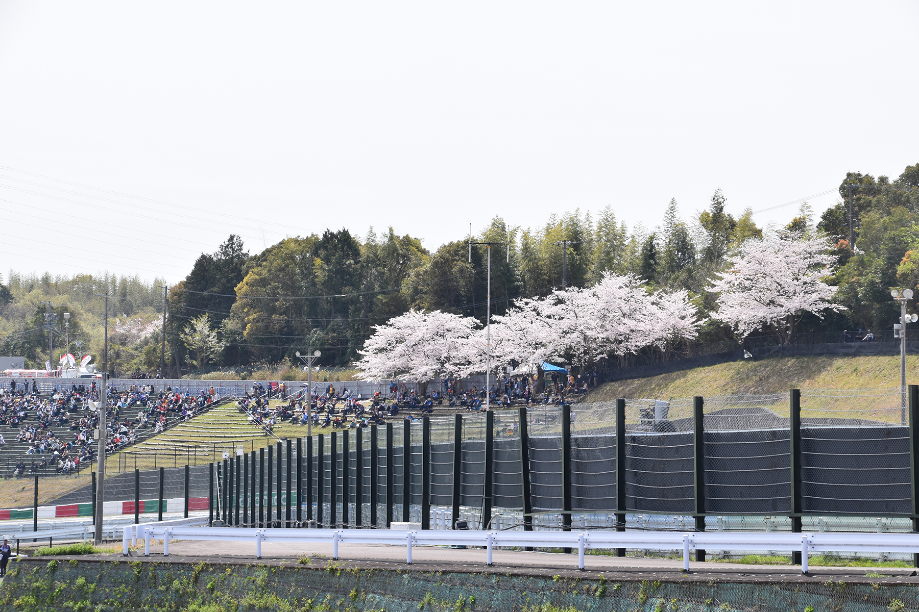 桜満開の鈴鹿がみせたF1日本GP激熱の闘いをカタール航空のパドッククラブから観戦した 〜 画像48