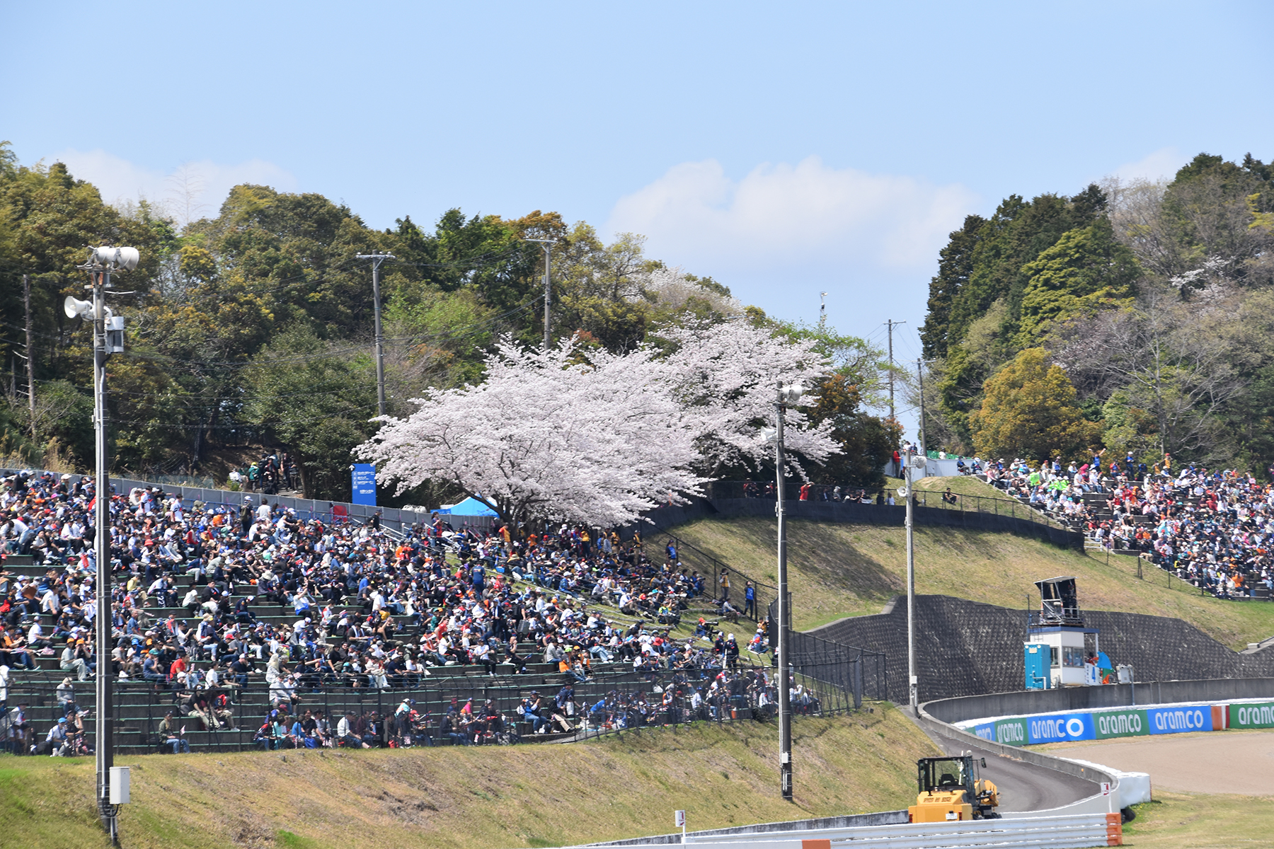 桜が咲き誇る鈴鹿のS字コーナー