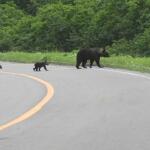 【画像】北海道はでっかいどう……ってマジだった！　無計画ドライブは泣きを見る北海道の現実!! 〜 画像5