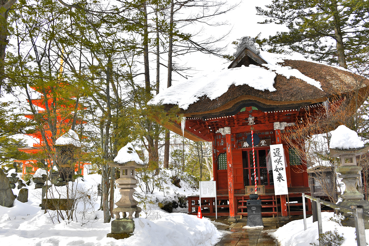 草津山光泉寺の遅咲き如来 〜 画像51