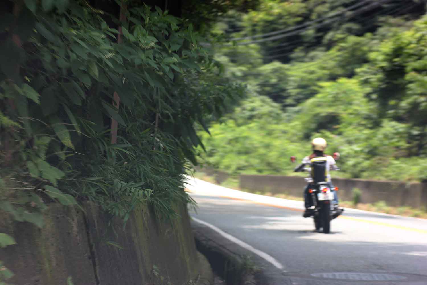 山道を走るバイクの後ろ姿