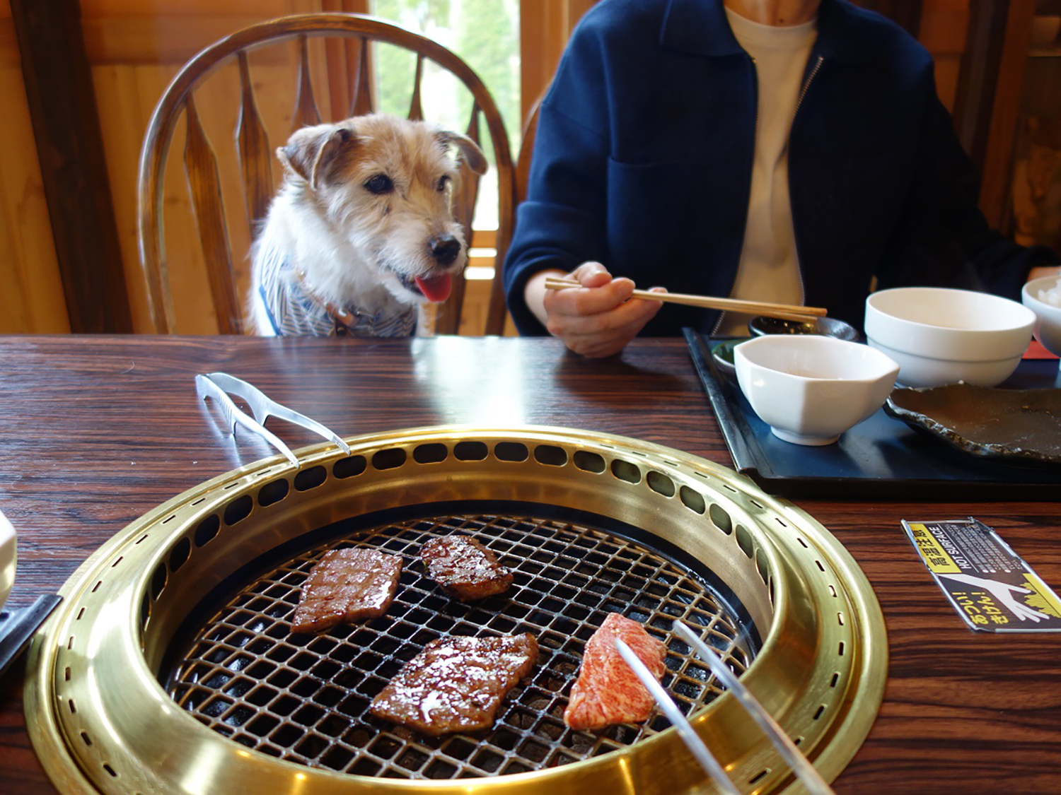 愛犬を連れて入ることができる焼肉店