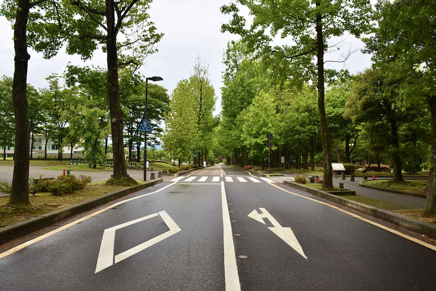 白線の実線が引かれた道路 〜 画像2