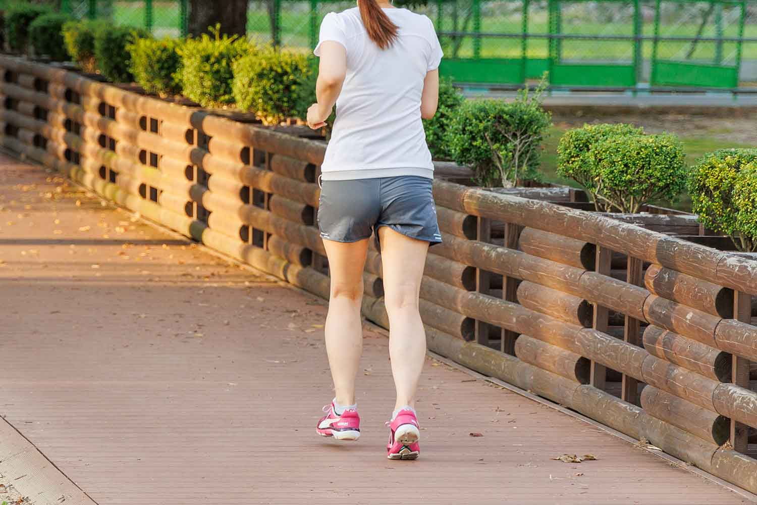 公園でウォーキングしている女性 〜 画像7