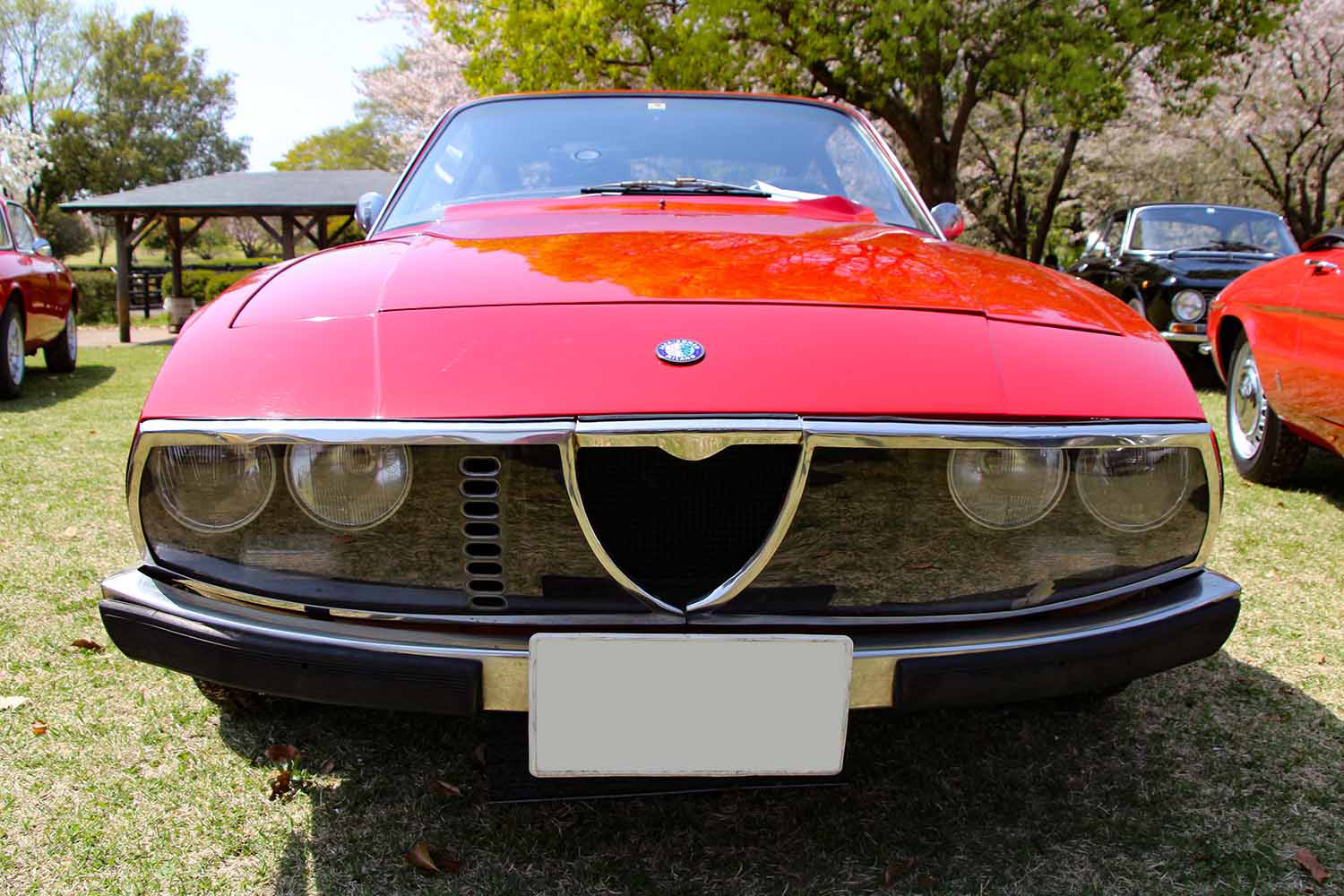 アルファロメオ1300GT Z 〜 画像6