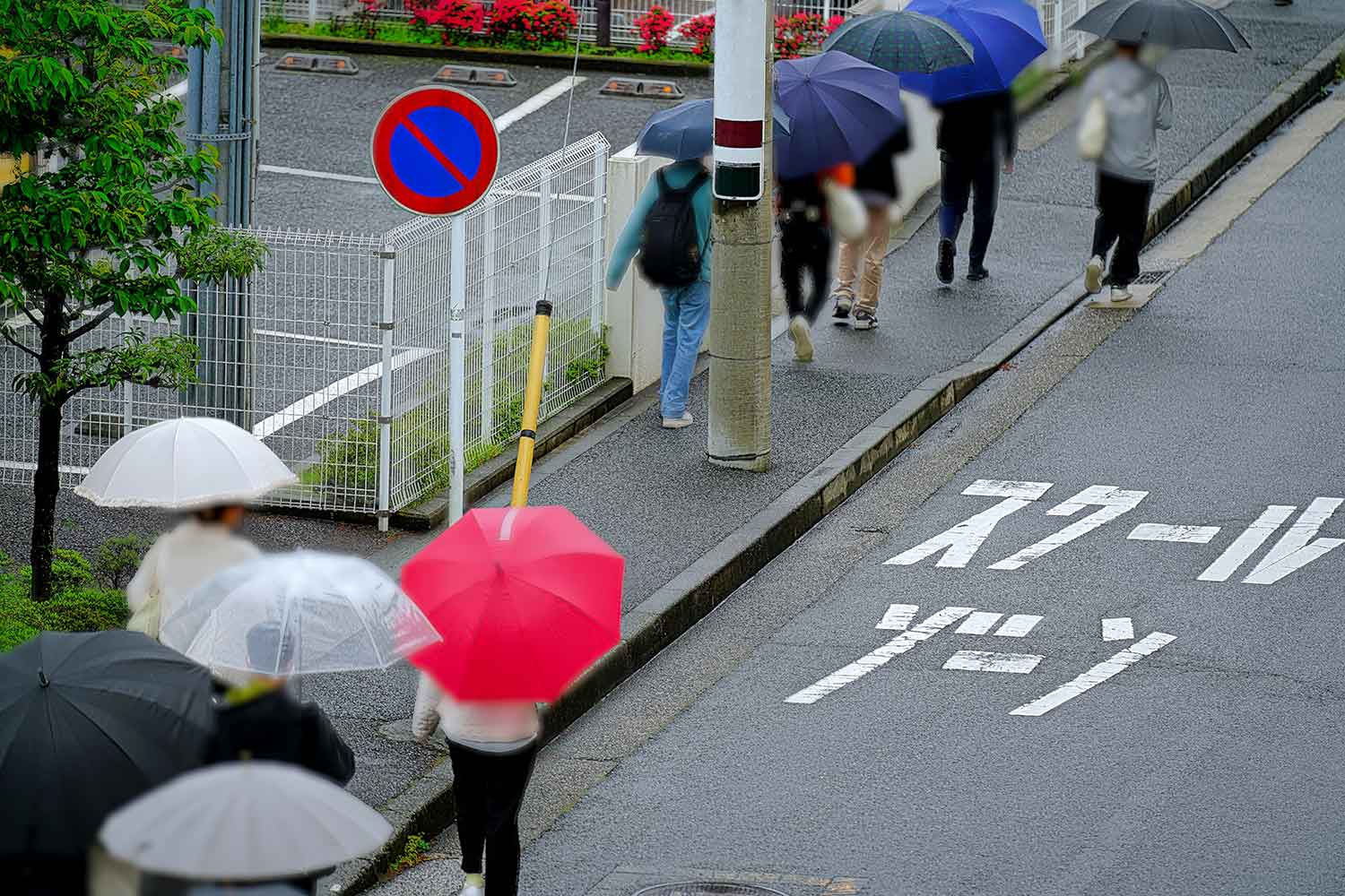 スクールゾーンの道路表示と複数名の歩行者 〜 画像2