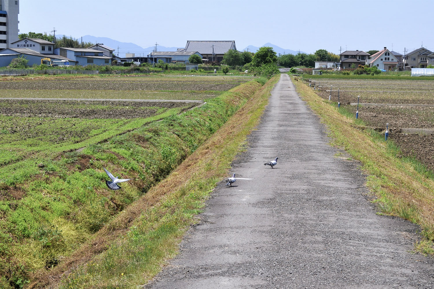 アスファルト舗装の凸凹の名称と原因を解説