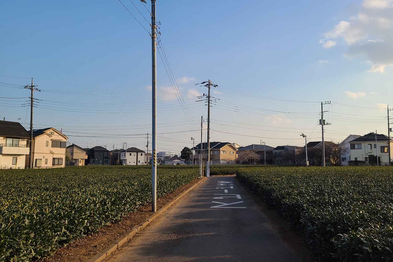 住宅街の近くに設けられた農道