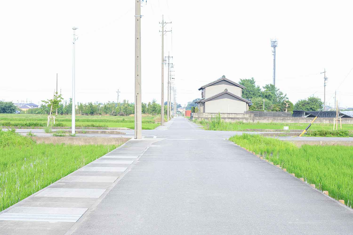 十字路になっている農道 〜 画像4