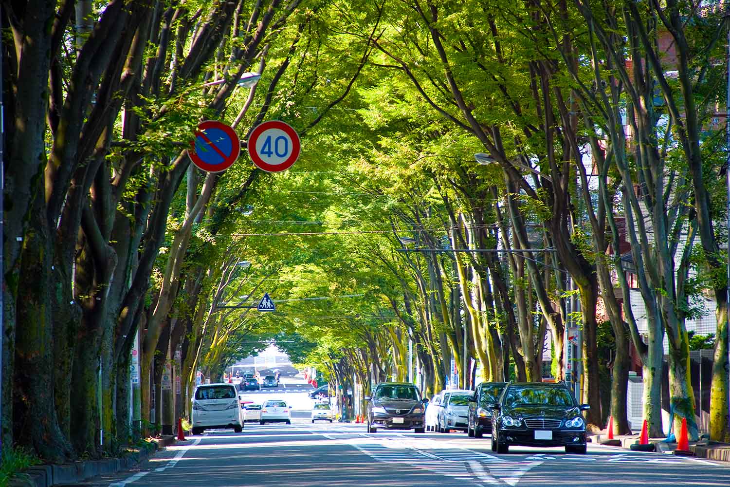 街なかの一般道の交通状況