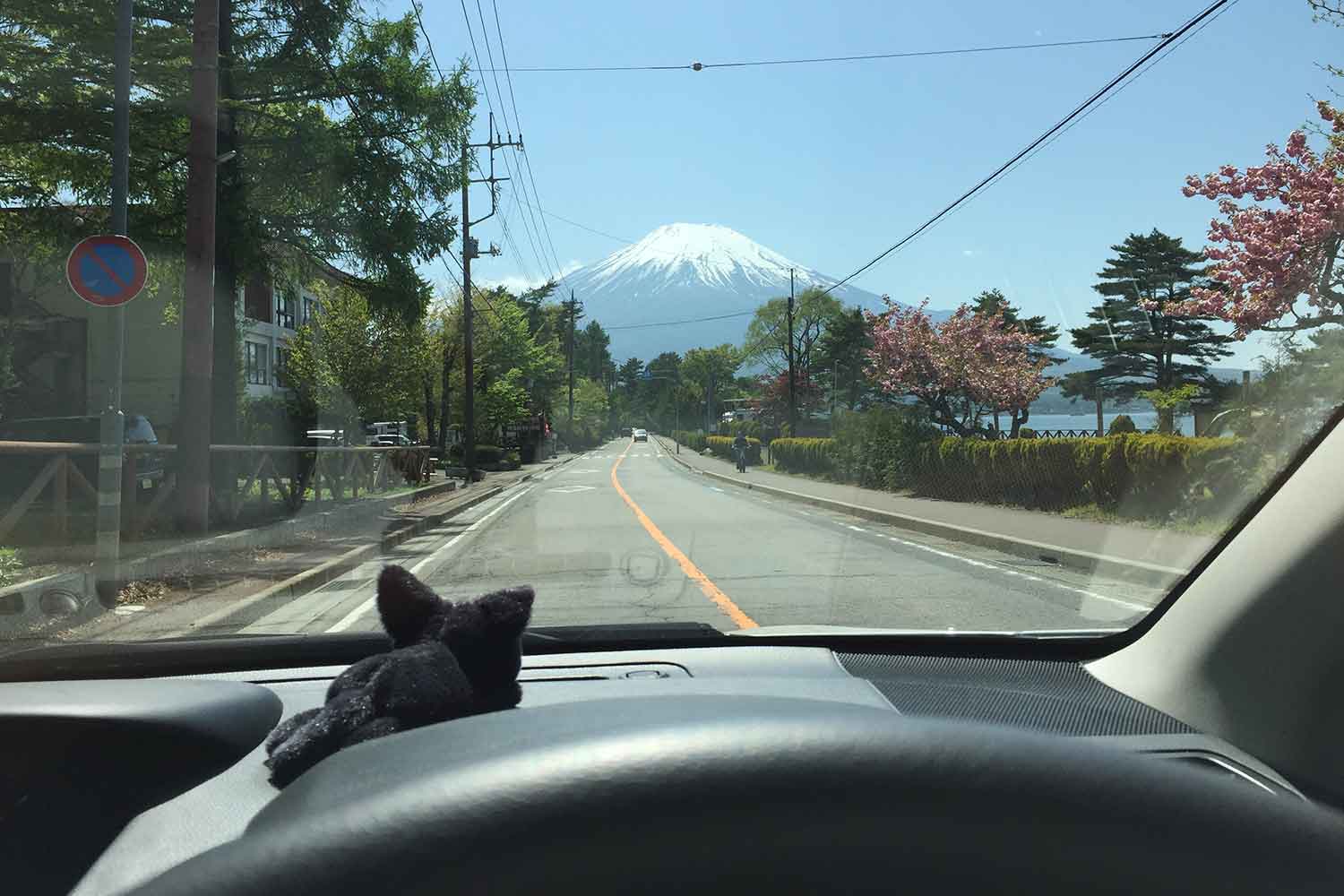 クルマのダッシュボードの上にぬいぐるみがある様子