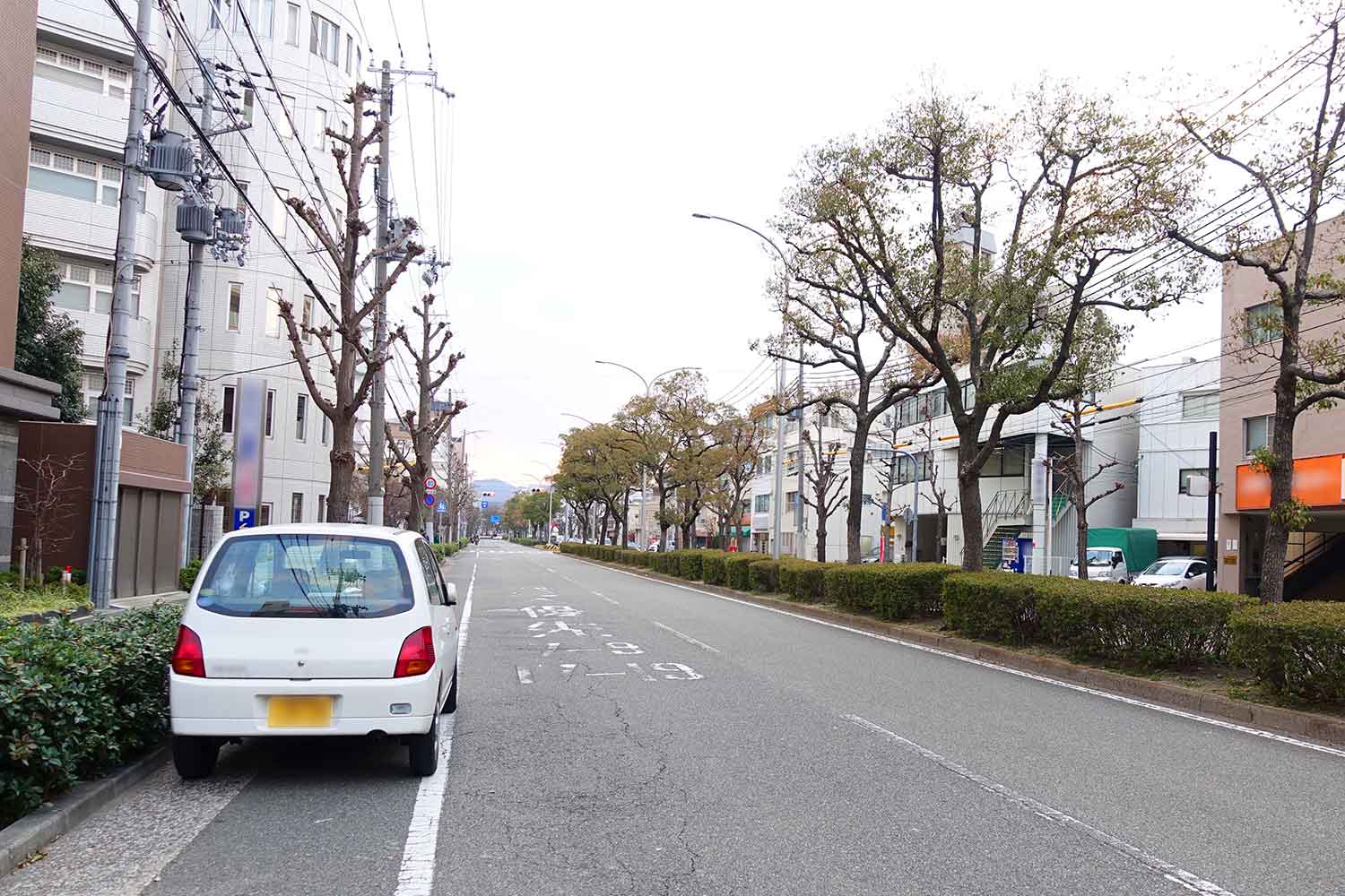 路肩に停車している軽自動車