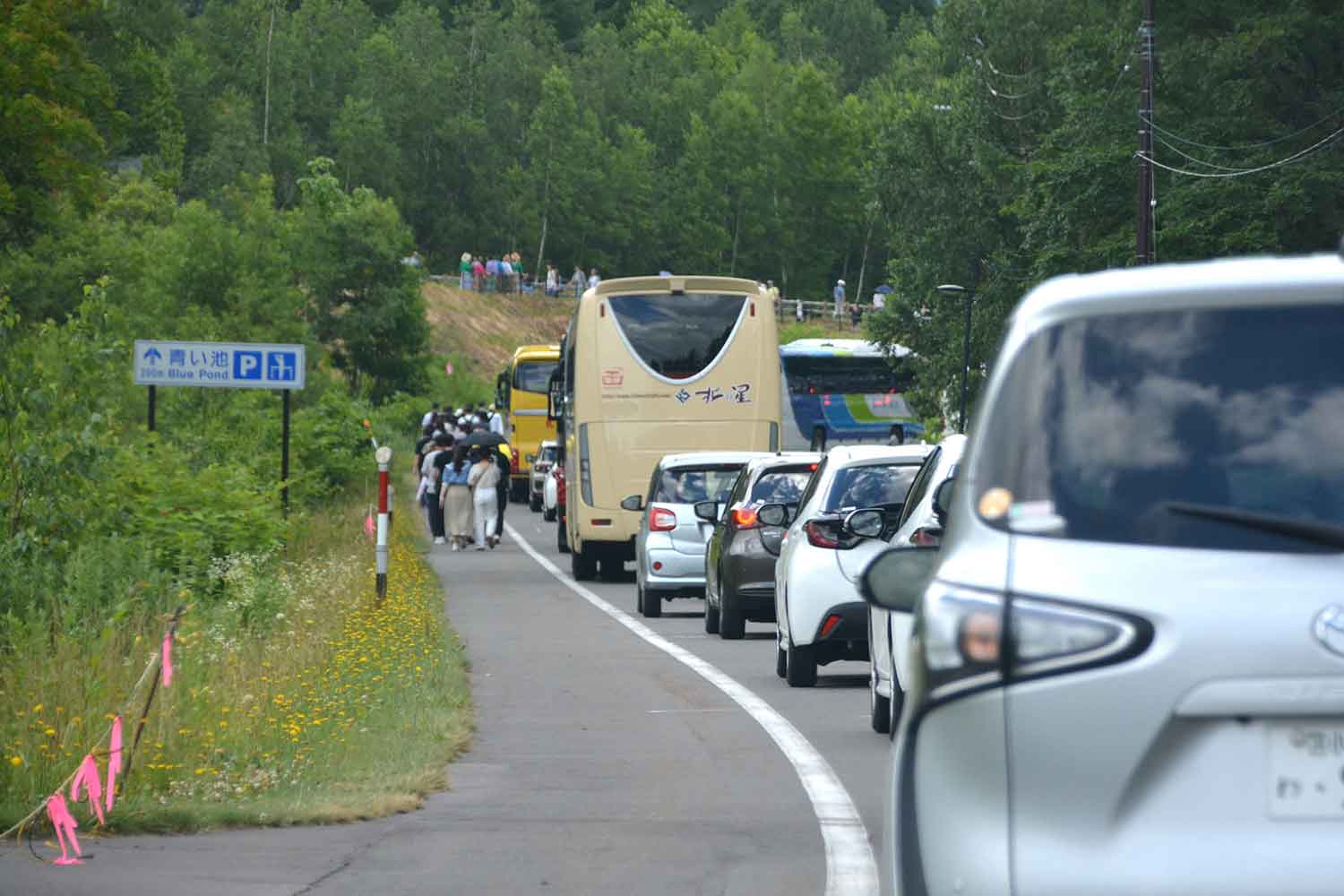 行楽地での駐車場渋滞の長い車列