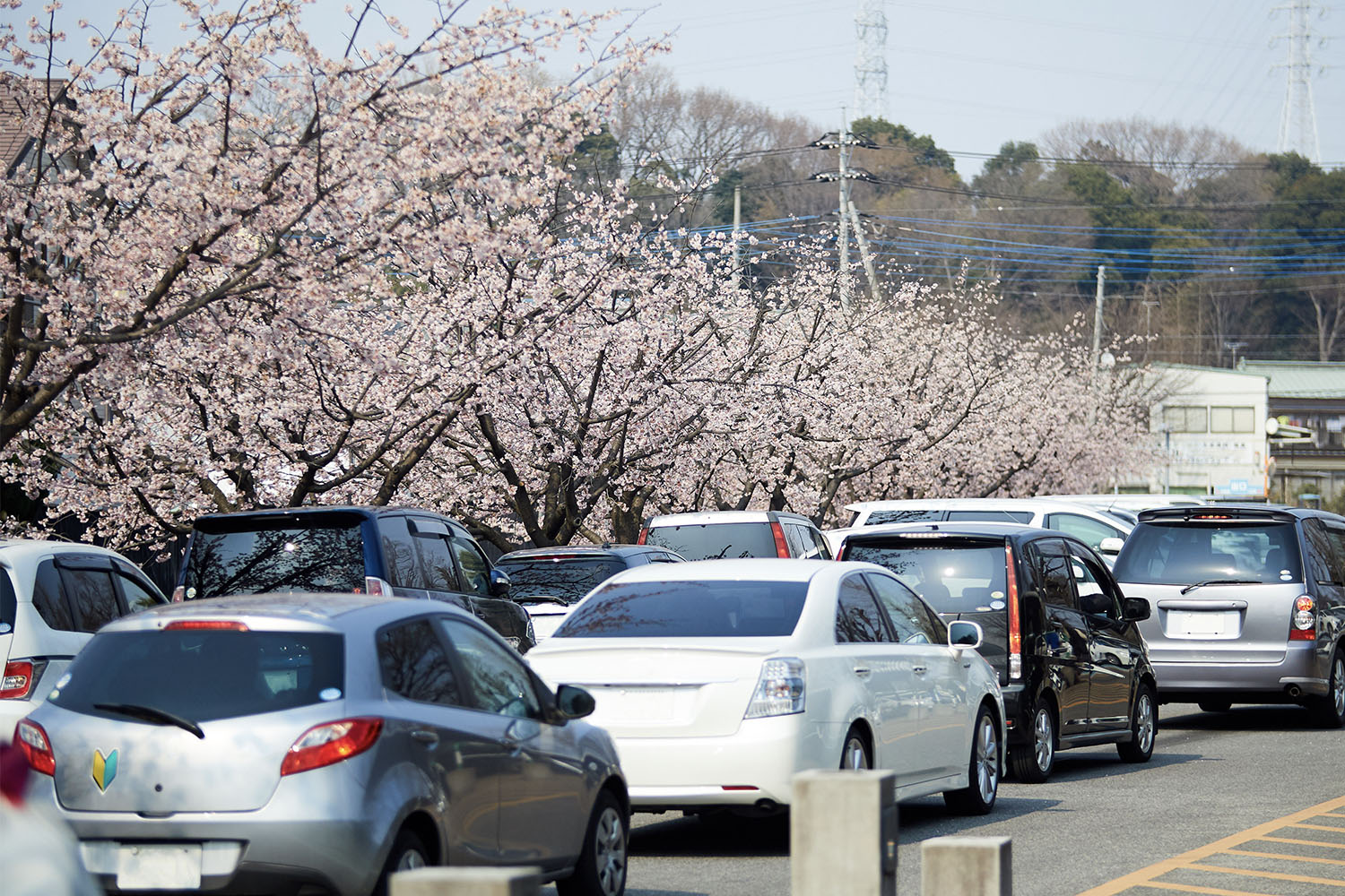 入場待ちの待機が駐車違反になるかどうかを法律に沿って検証してみた 〜 画像7