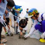 【画像】さかなクンが参加者と一緒に砂浜をギョギョッとお掃除！　鎌倉市の由比ヶ浜海水浴場で行われた「Hondaビーチクリーン活動」で475kgのゴミを回収 〜 画像28