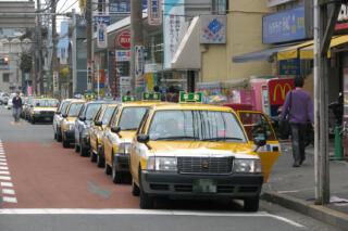 「第二種運転免許」の内容や取得方法について解説