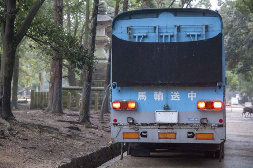 「競争馬」「精密機器」輸送車と事故ったら最悪人生が終わる……は都市伝説！　実際の賠償金がいくらぐらいか調べてみた