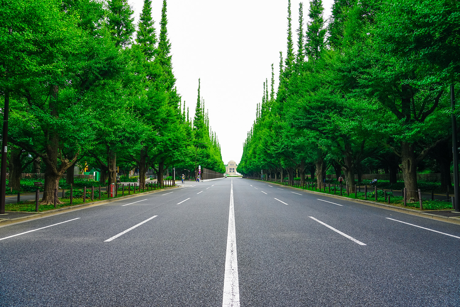 「愛車を走らせるための目的」が欲しい人たちの集会場になっていた 〜 画像6