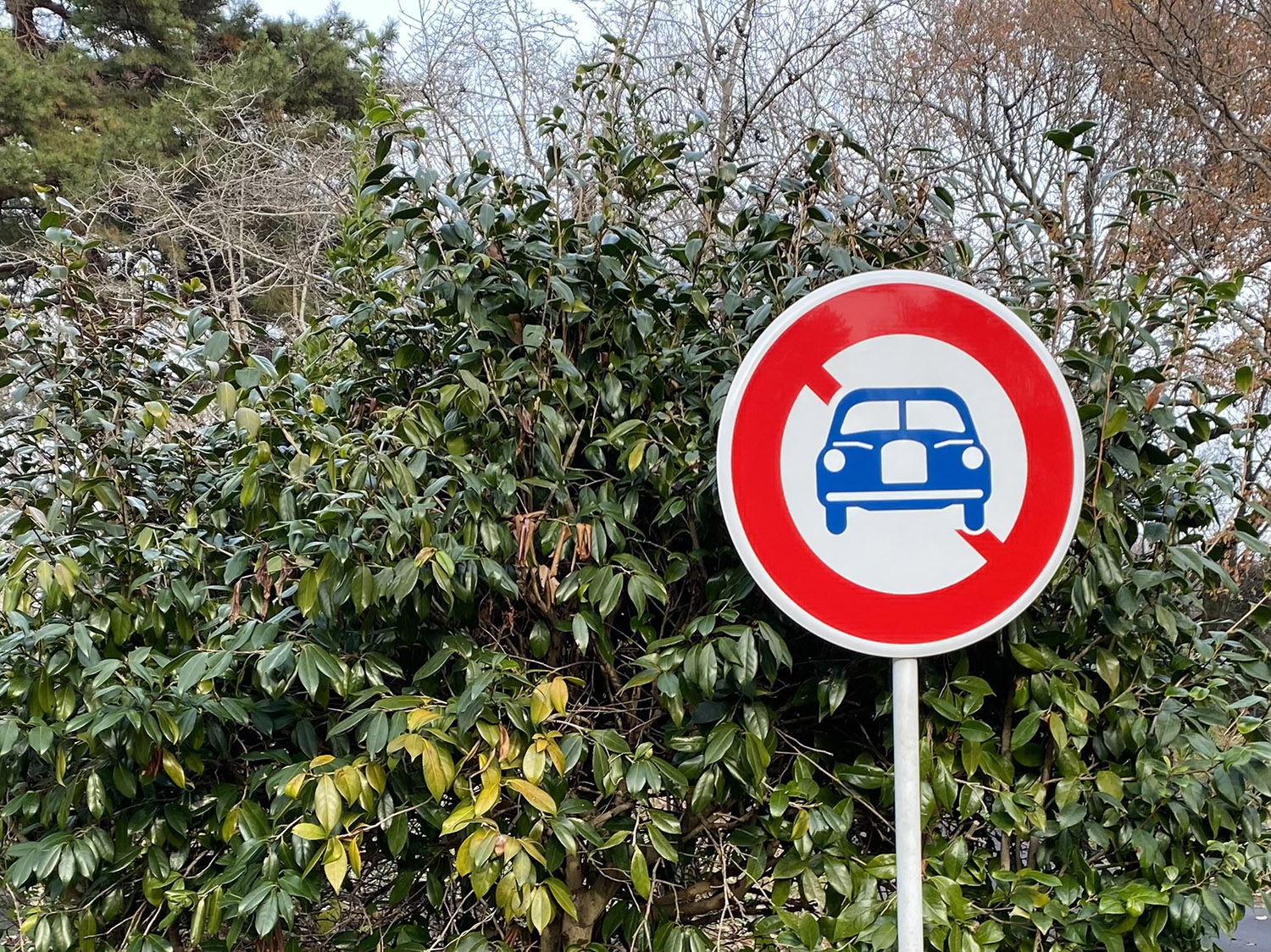 車両通行止めの標識