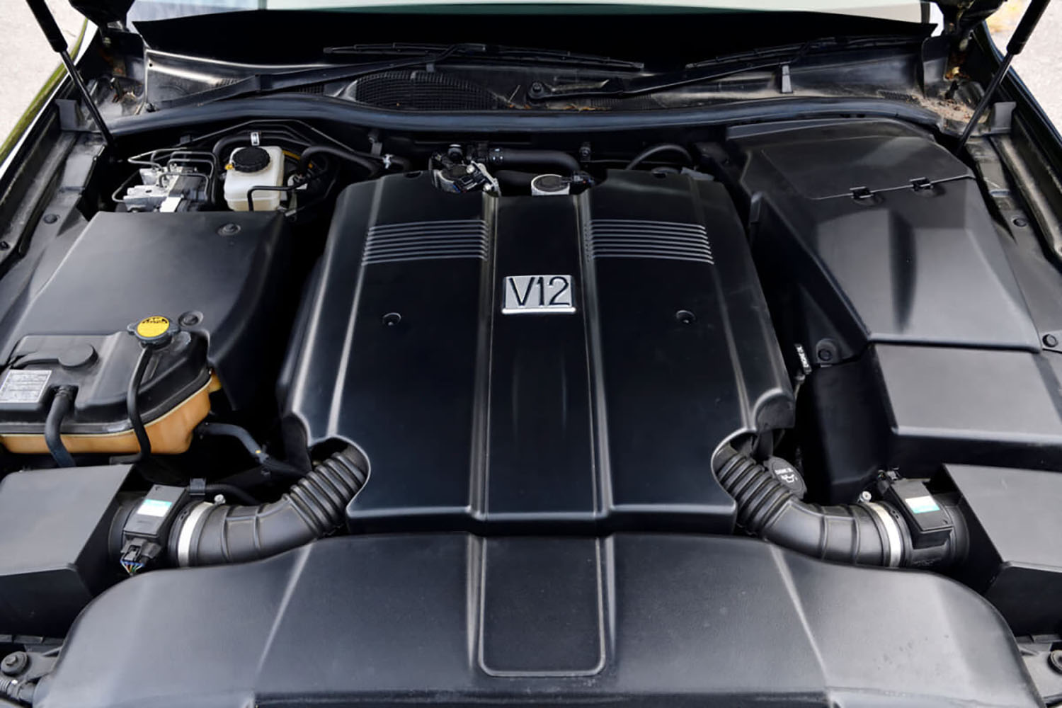 中古で安く買えるV12搭載車 〜 画像2