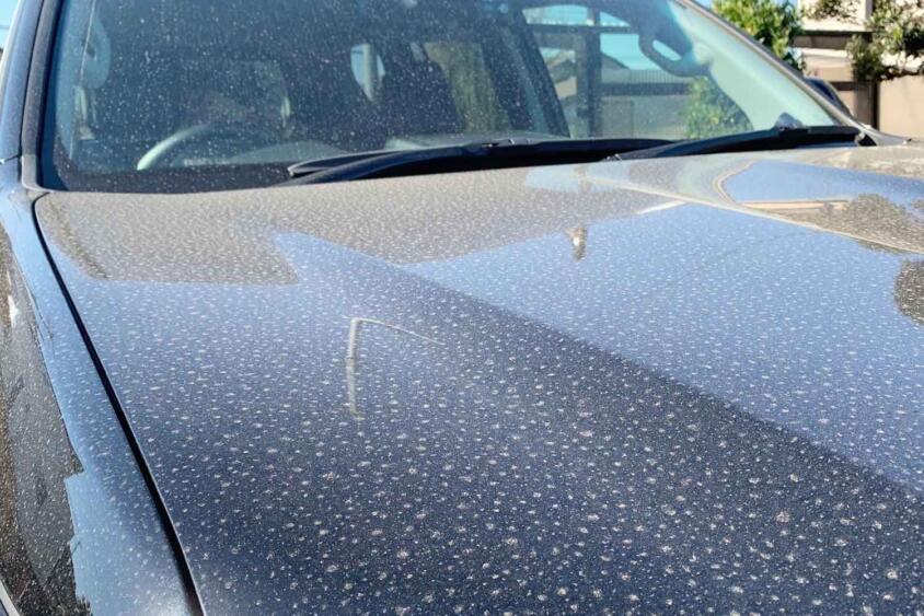 気がついたら取り返しのつかないボディに！　雨上がりの水滴放置はクルマにとって危険だった
