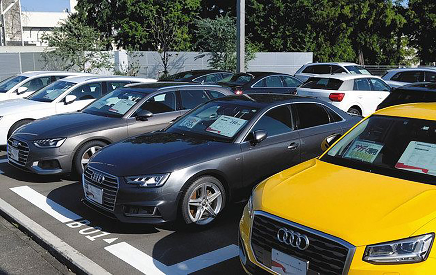 KANEDA MOTOR 浜松南店