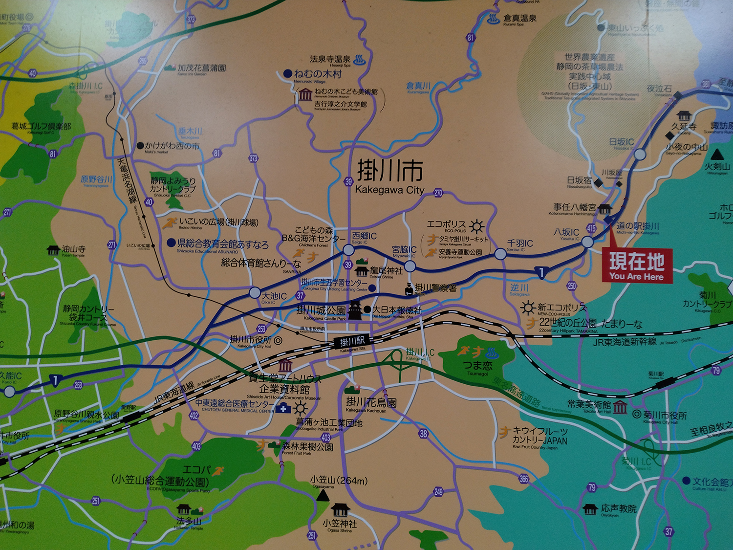 周辺の地図