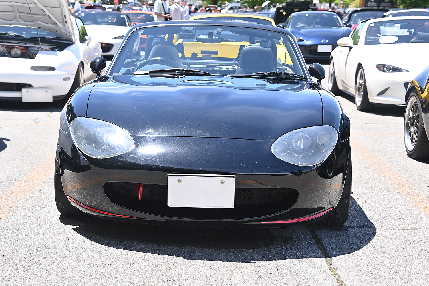 ディーテクニック TD1001R
