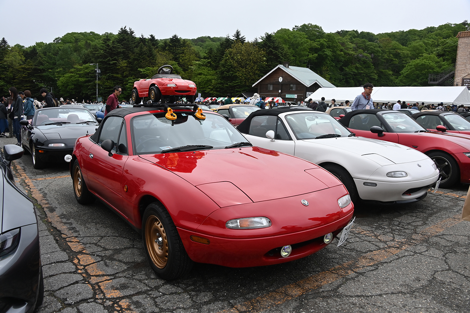 ロードスター軽井沢ミーティング2025が相変わらず激アツだった 〜 画像31