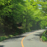 【画像】教習所で習ったハズなのにそこかしこで違反だらけ！　道路に引かれた「線」の意味をわかってる？ 〜 画像6