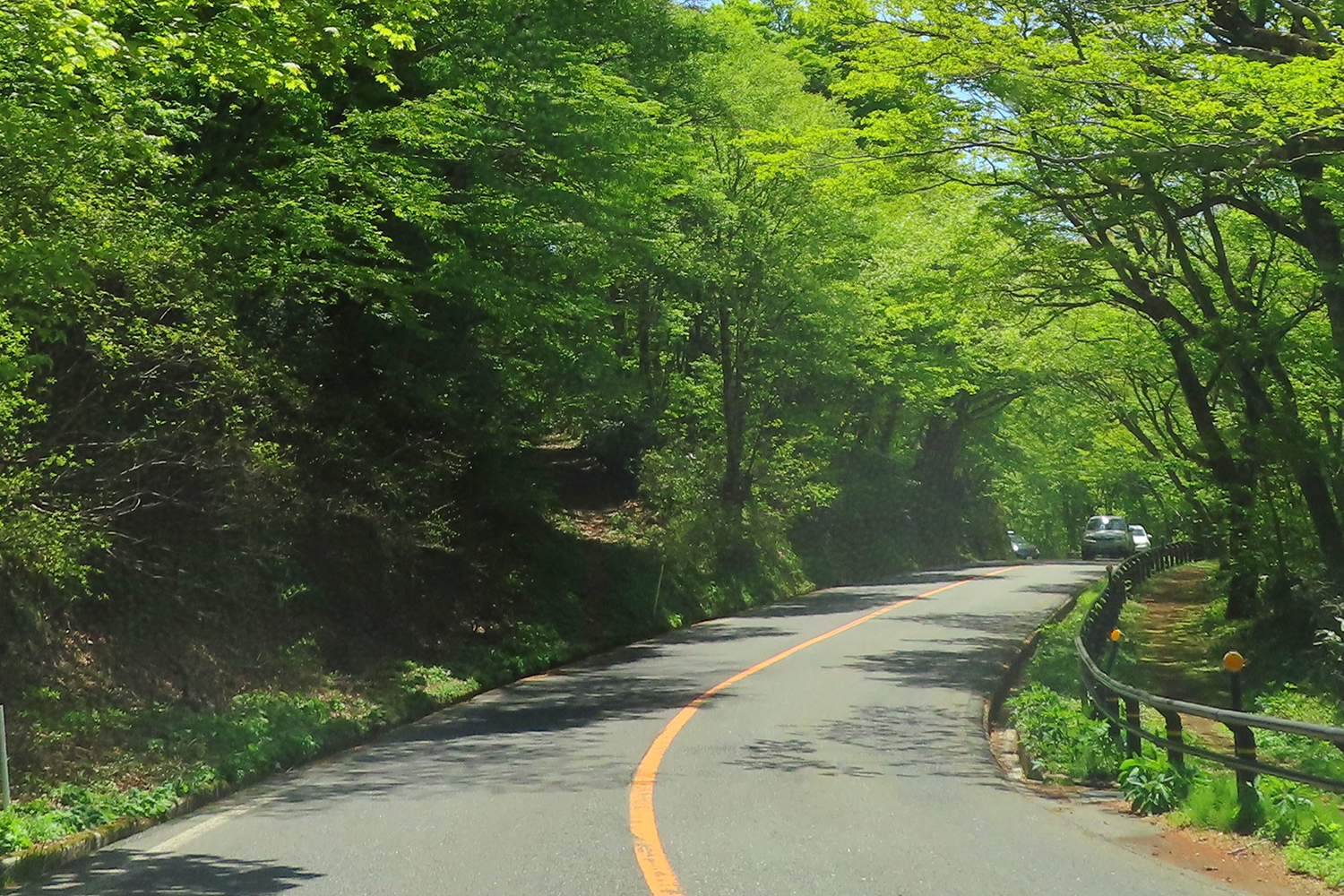黄色実線のセンターライン