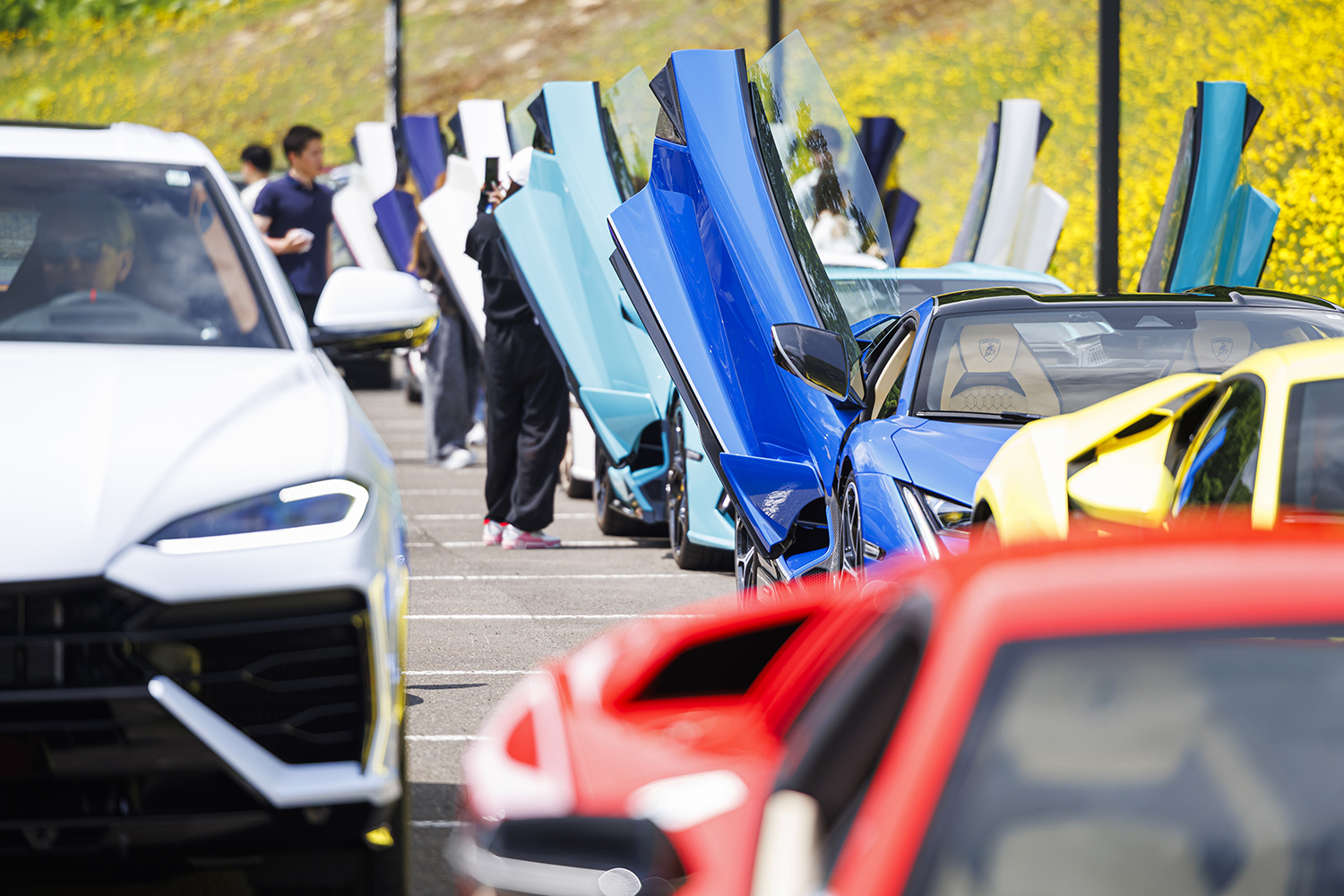 ランボルギーニのツーリングイベント「Lamborghini Esperienza GIRO」 〜 画像10