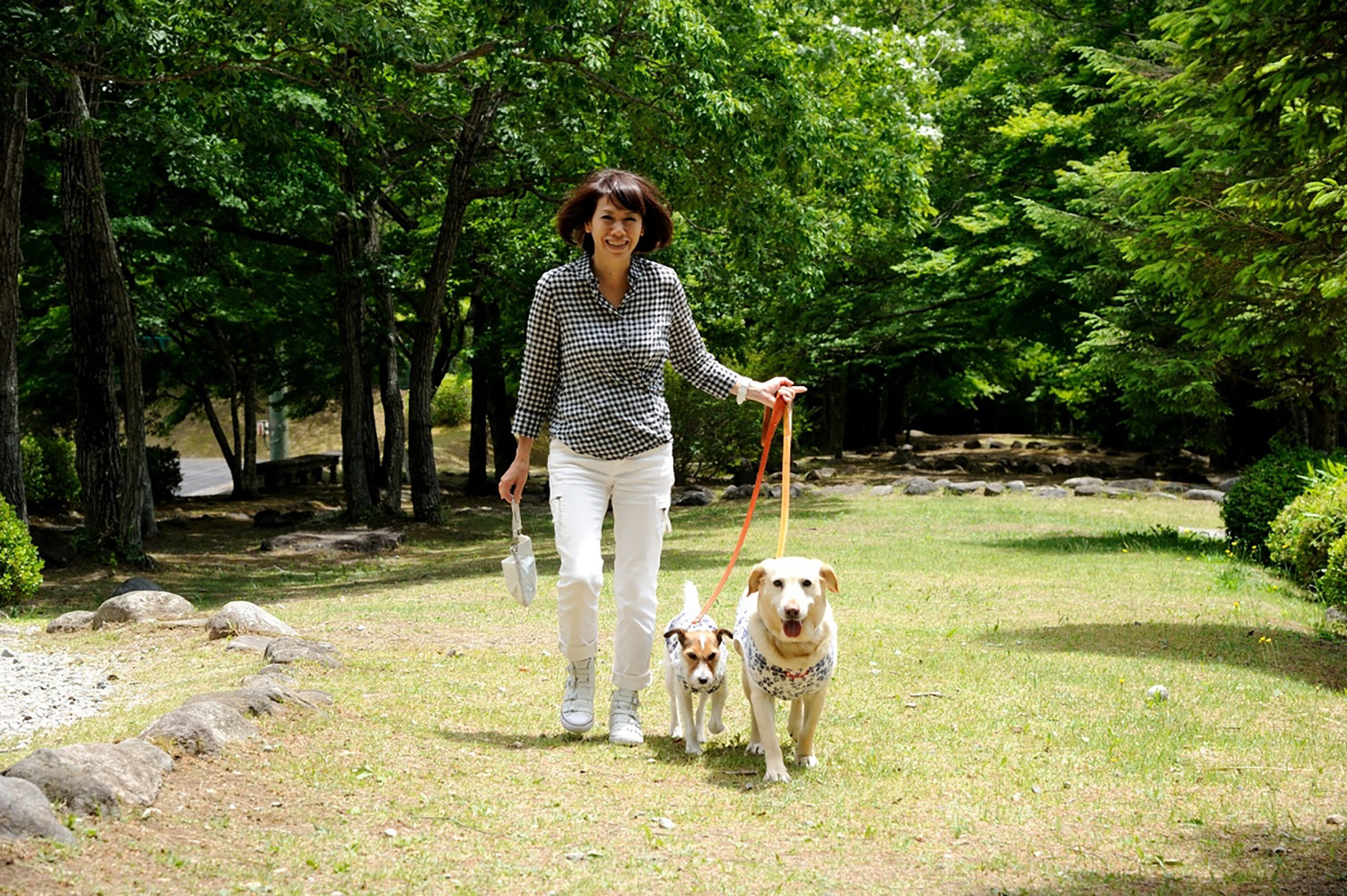 青山尚暉氏の愛犬 〜 画像35