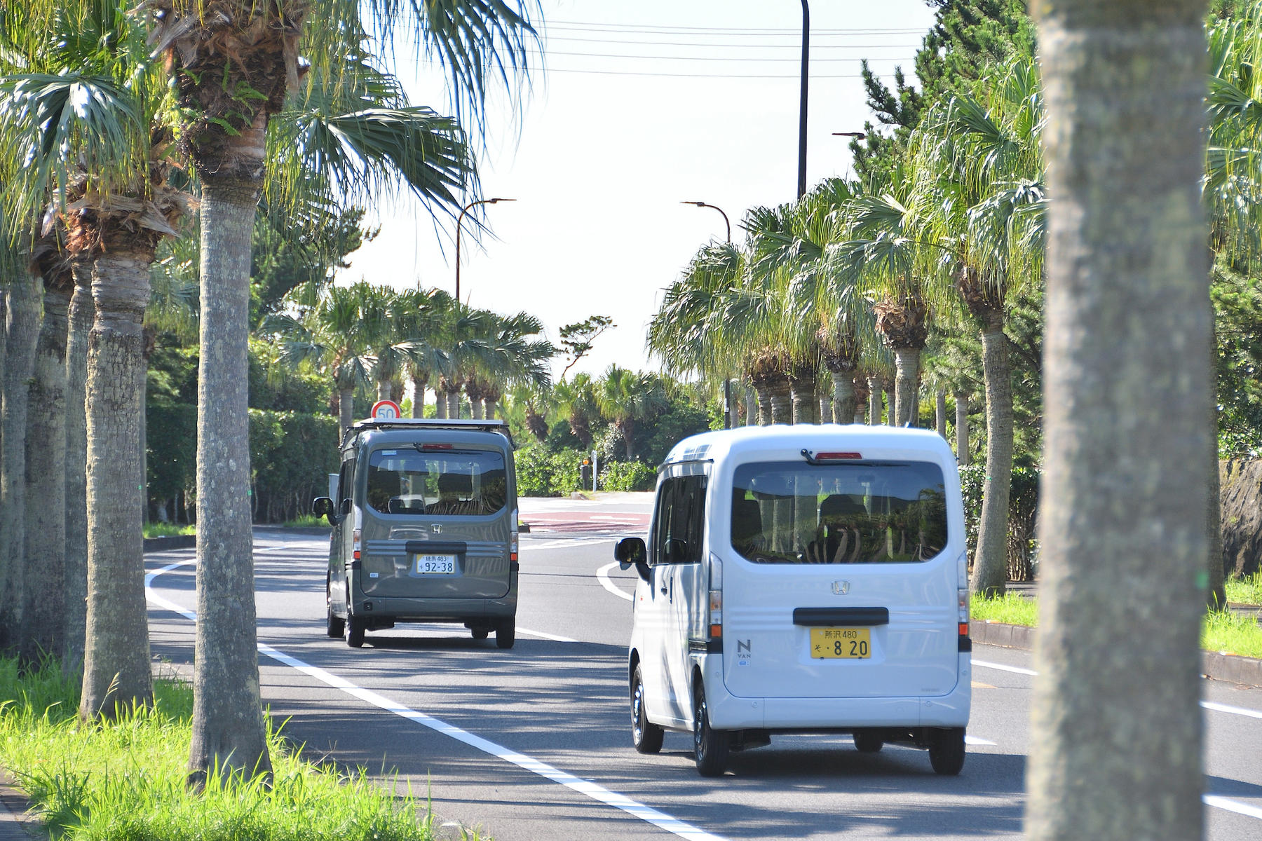八丈島で「でん吉」に出会った 〜 画像26
