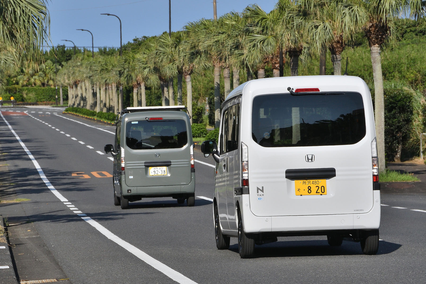 八丈島で「でん吉」に出会った 〜 画像28
