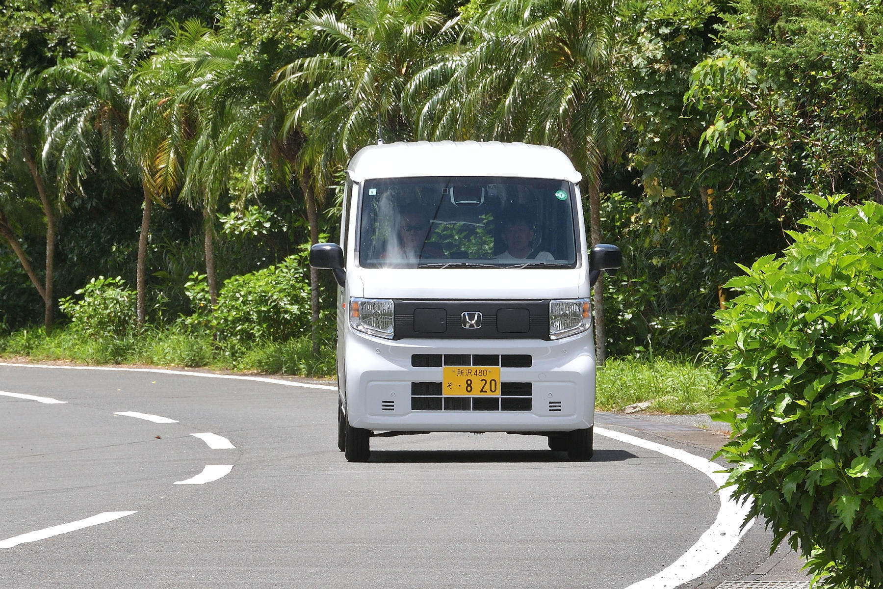 八丈島で「でん吉」に出会った 〜 画像48
