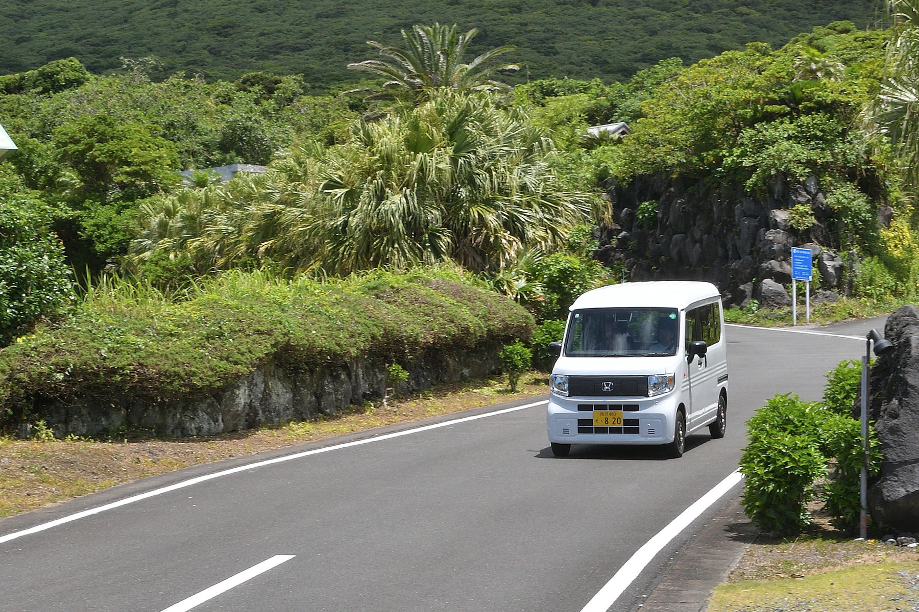 八丈島で「でん吉」に出会った 〜 画像51