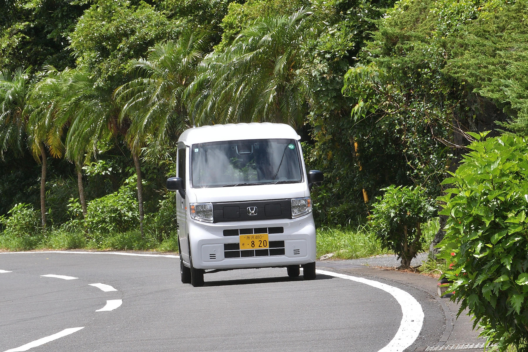 八丈島で「でん吉」に出会った 〜 画像103