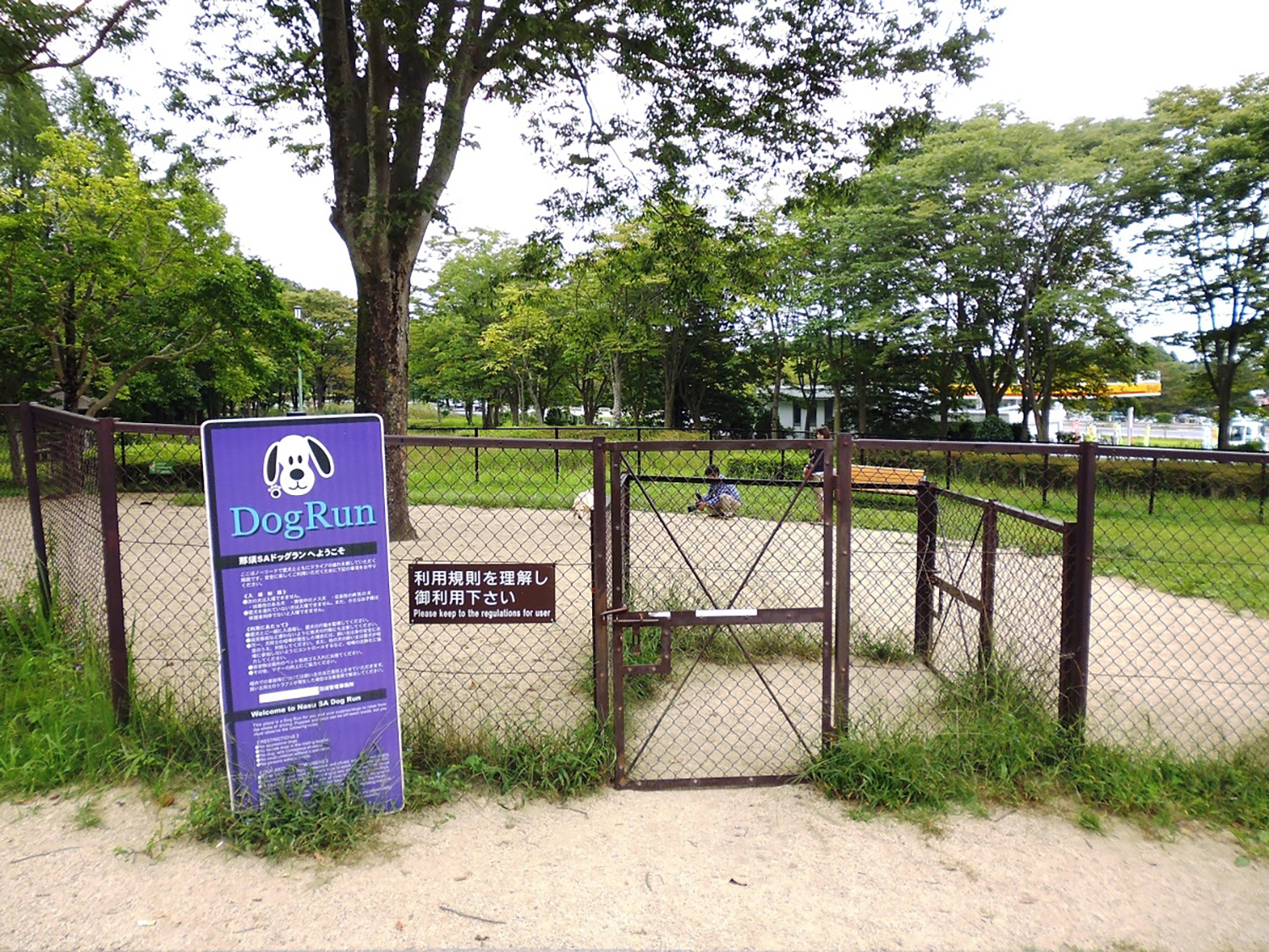 ドッグライフプロデューサーが指南する愛犬への暑さ対策 〜 画像21