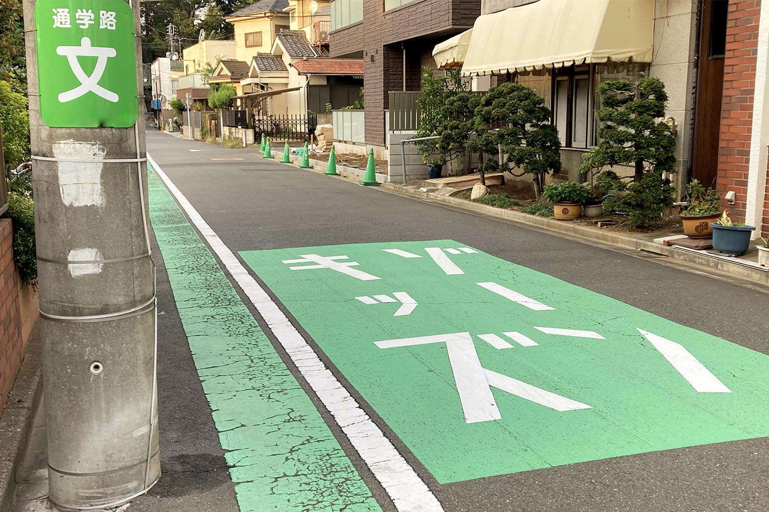 緑に塗装された道路