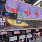 【画像】地味〜な外観と裏腹に店内はジュリアナ状態！　トラック用品店に潜入したら妖艶さがヤバい!! 〜 画像20