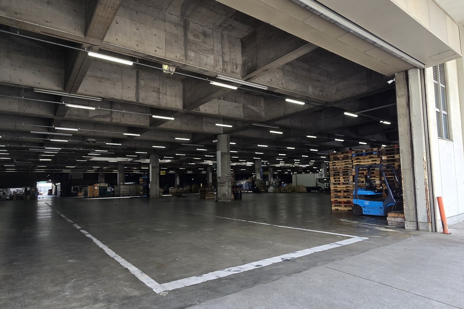 　「川崎北部市場」探訪記 〜 画像2
