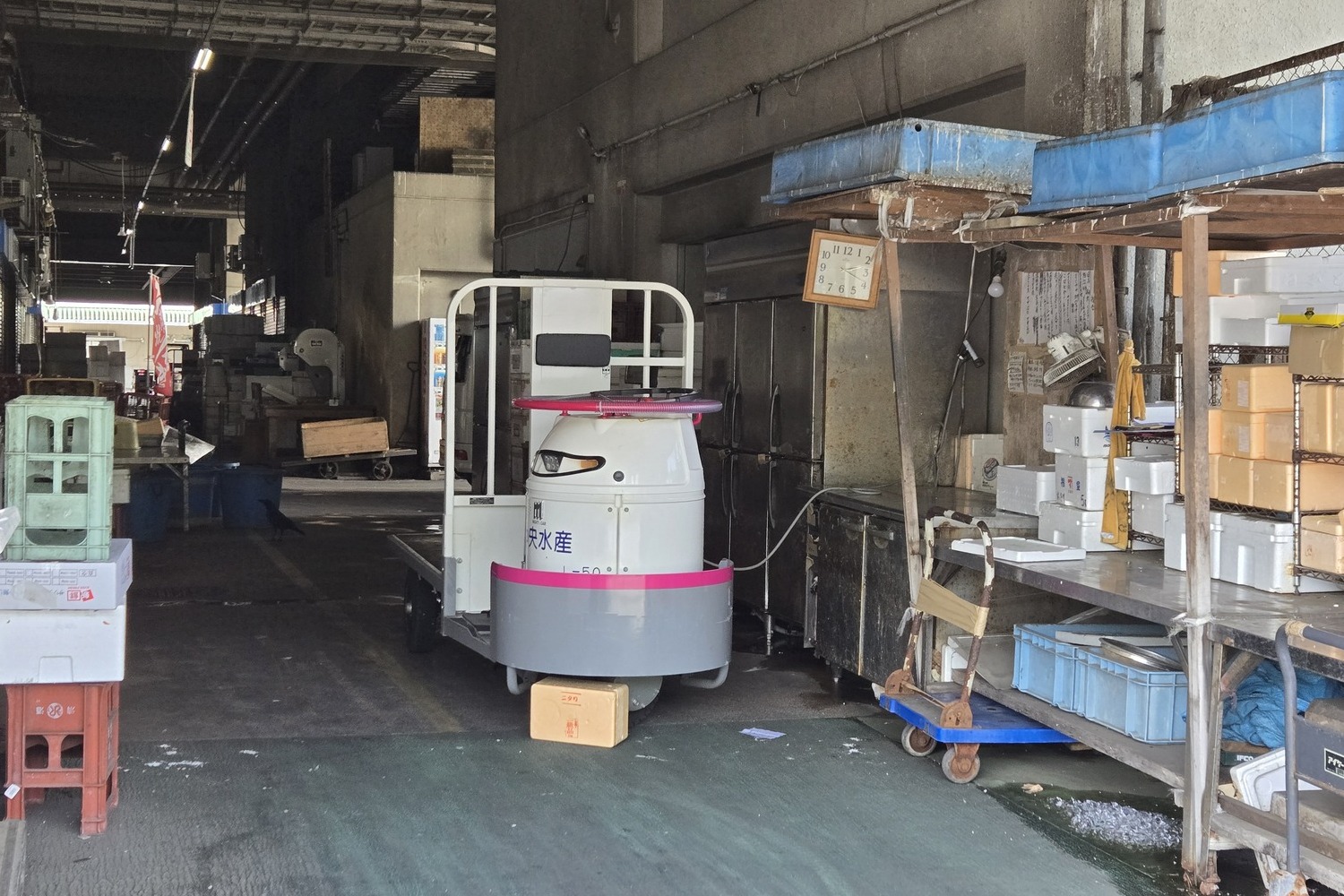 　「川崎北部市場」探訪記 〜 画像5