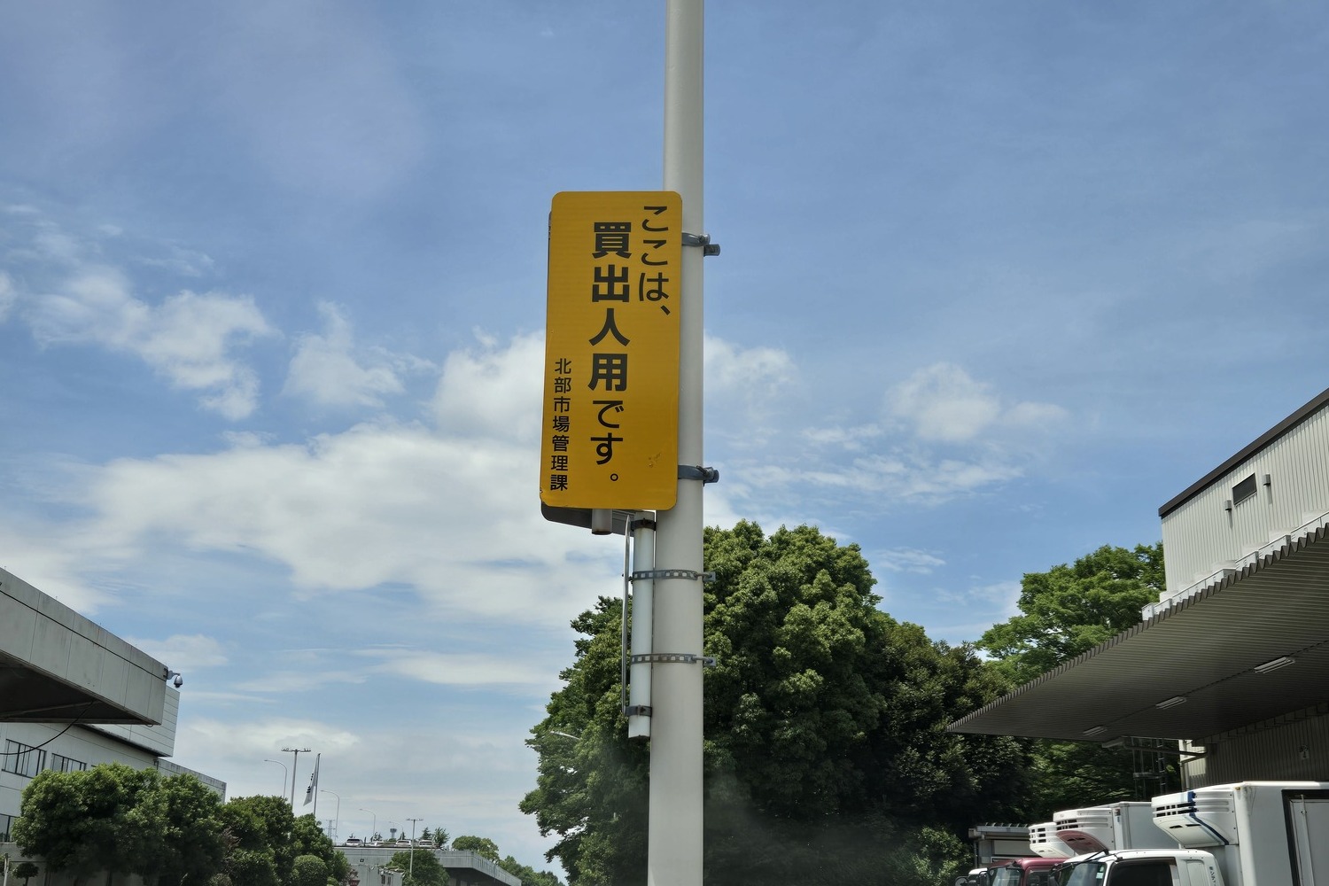　「川崎北部市場」探訪記 〜 画像27