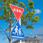 【画像】「大人が１人」「子どもが２人」２種類の図柄があるって知ってた？　横断歩道標識は明確に使いわけがなされていた 〜 画像5