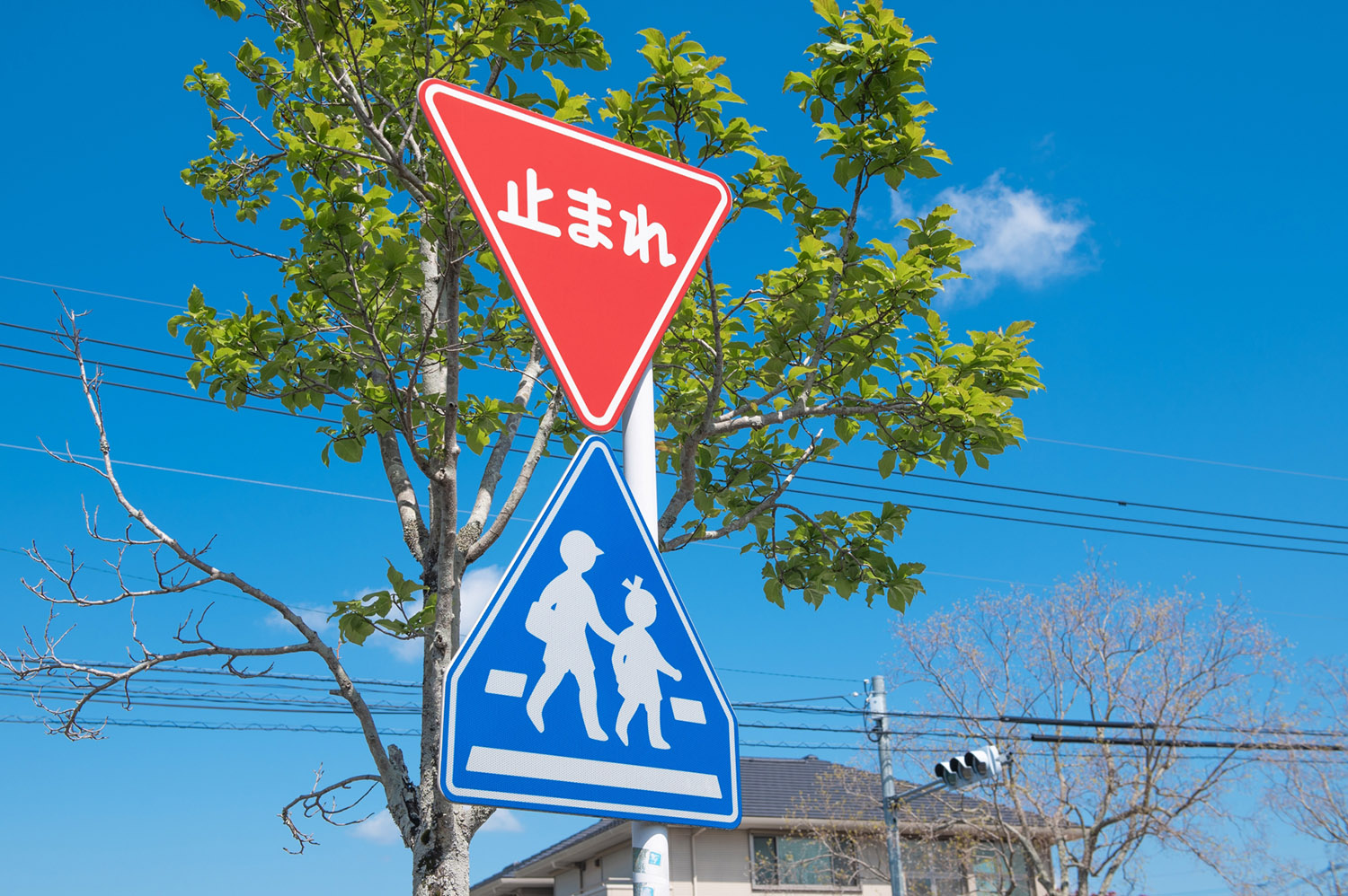 一時停止と横断歩道の標識